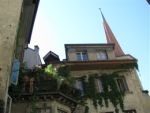IMG_4729.jpg