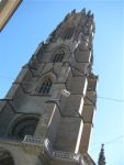 IMG_4731.jpg