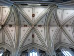 IMG_4733.jpg