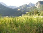 IMG_4747.jpg