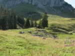 IMG_4773.jpg